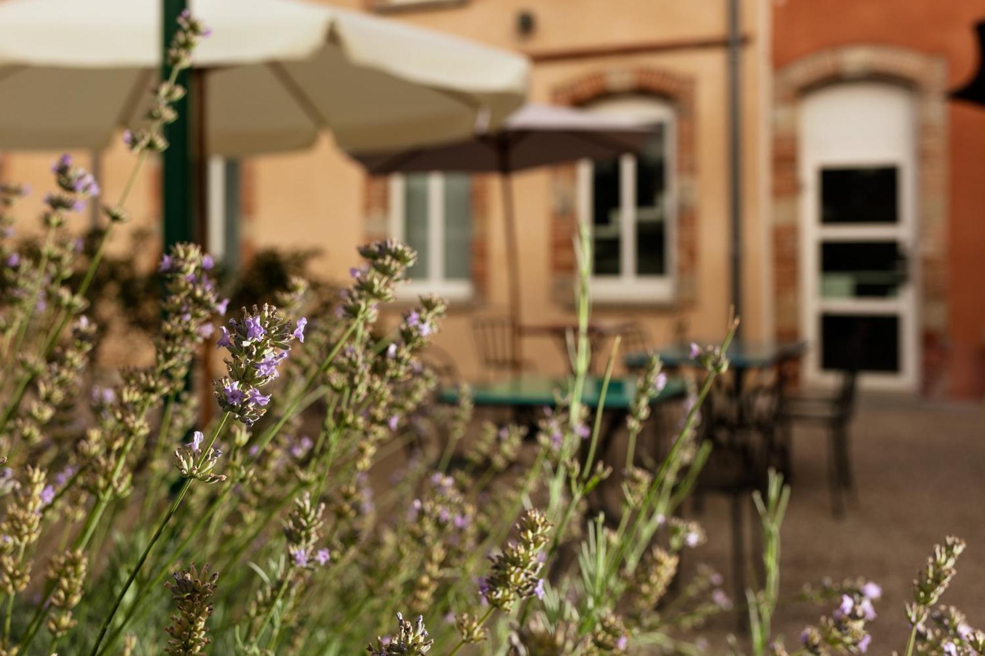 ホテル Ibis Styles Toulouse Lavaur エクステリア 写真